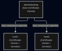 Conexiones Salientes